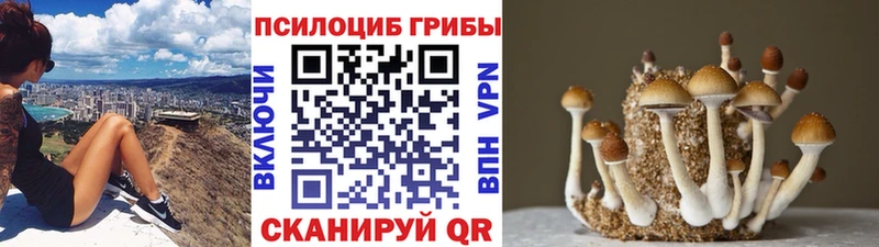 Псилоцибиновые грибы Cubensis MEGA ссылка Искитим